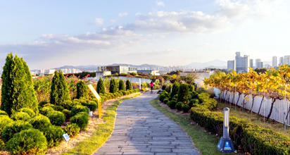Sejong Route